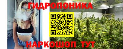 стаф Бузулук