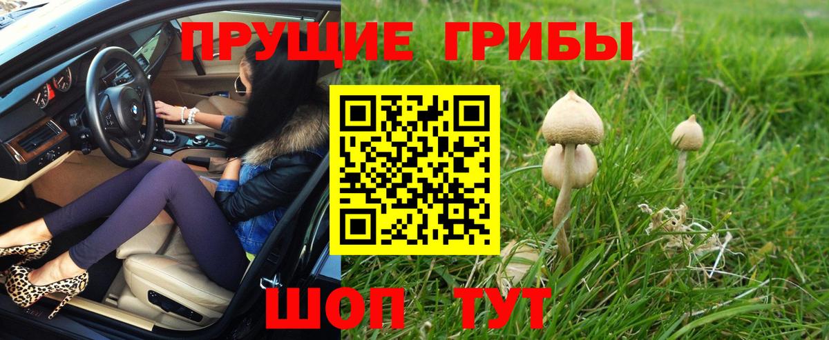 Псилоцибиновые грибы MAGIC MUSHROOMS  Вход с VPN  Новоуральск  Галлюциногенные грибы прущие грибы 